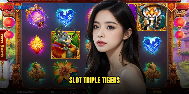 Slot Triple Tigers Vnsoxo có mạnh mẽ như ba chú hổ thật? 6 Slot Triple Tigers